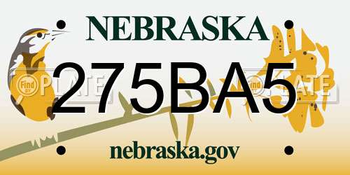 275BA5 Nebraska License Plate