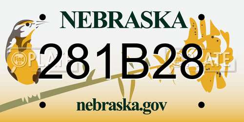 281B28 Nebraska License Plate