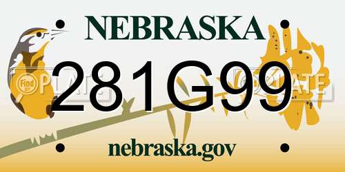 281G99 Nebraska License Plate