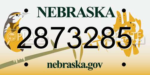 2873285 Nebraska License Plate