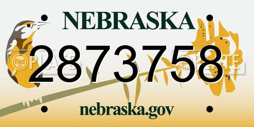 2873758 Nebraska License Plate