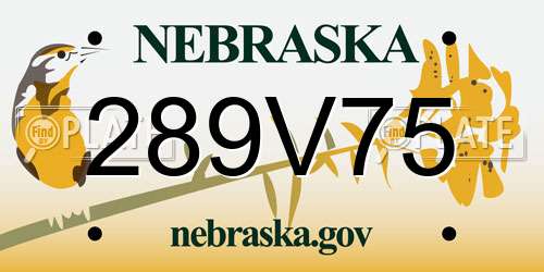 289V75 Nebraska License Plate