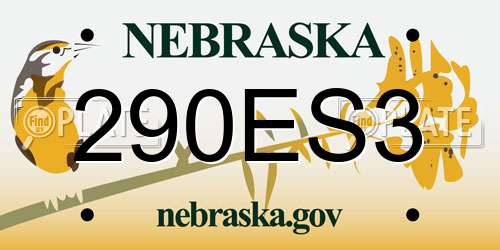290ES3 Nebraska License Plate