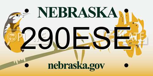 290ESE Nebraska License Plate