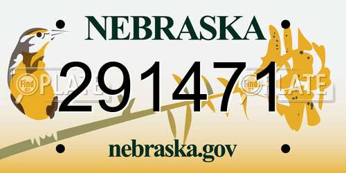 291471 Nebraska License Plate