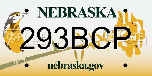 293BCP Nebraska License Plate