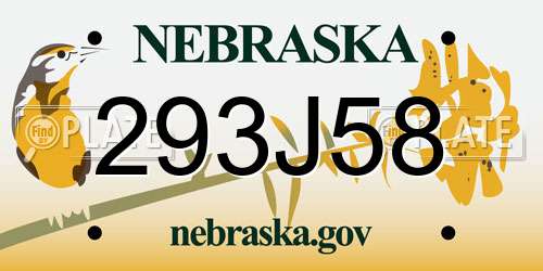 293J58 Nebraska License Plate