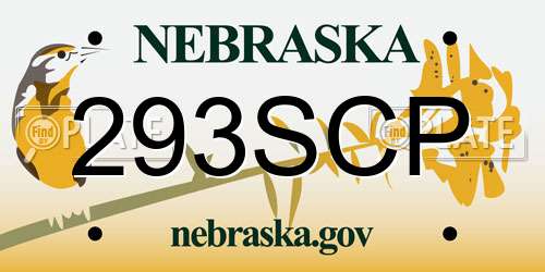 293SCP Nebraska License Plate