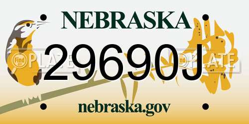 29690J Nebraska License Plate