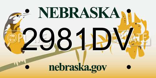 2981DV Nebraska License Plate