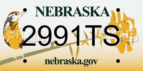 2991TS Nebraska License Plate