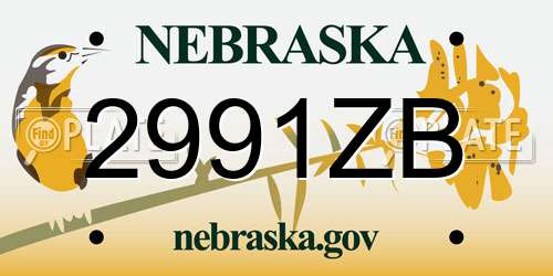 2991ZB Nebraska License Plate