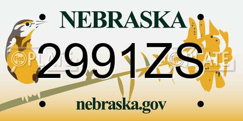 2991ZS Nebraska License Plate