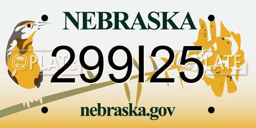 299I25 Nebraska License Plate