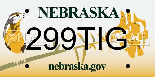 299TIG Nebraska License Plate
