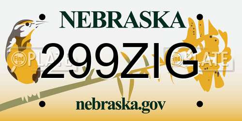 299ZIG Nebraska License Plate