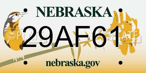 29AF61 Nebraska License Plate
