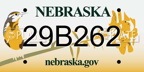 29B262 Nebraska License Plate