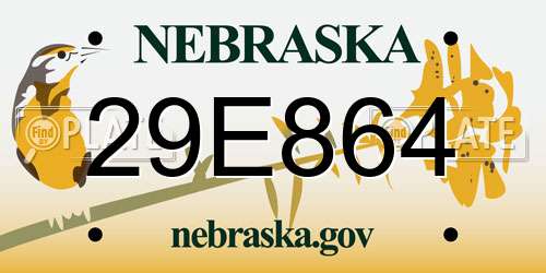 29E864 Nebraska License Plate