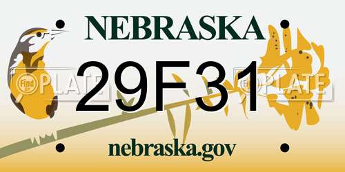 29F31 Nebraska License Plate