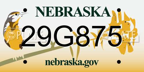 29G875 Nebraska License Plate