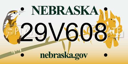 29V608 Nebraska License Plate