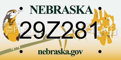 29Z281 Nebraska License Plate