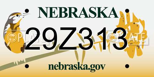 29Z313 Nebraska License Plate