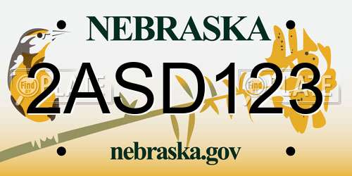 2ASD123 Nebraska License Plate