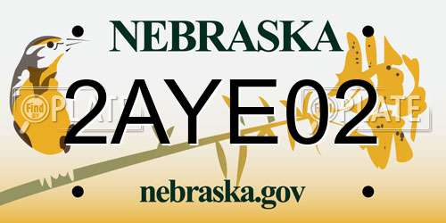 2AYE02 Nebraska License Plate