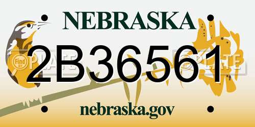 2B36561 Nebraska License Plate