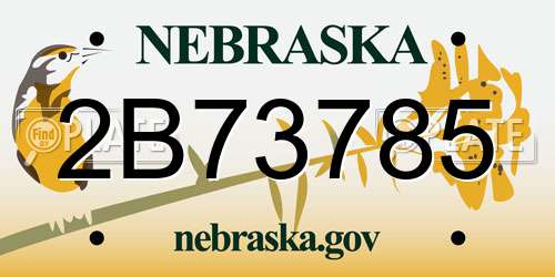 2B73785 Nebraska License Plate