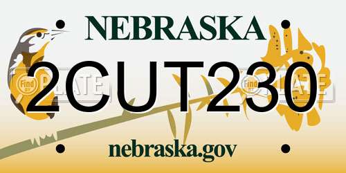 2CUT230 Nebraska License Plate
