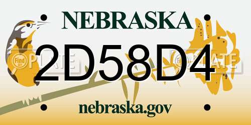 2D58D4 Nebraska License Plate