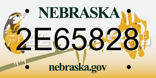 2E65828 Nebraska License Plate