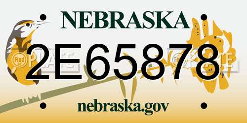 2E65878 Nebraska License Plate