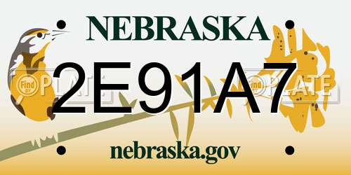 2E91A7 Nebraska License Plate