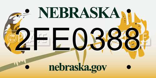 2FE0388 Nebraska License Plate