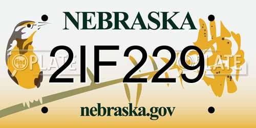 2IF229 Nebraska License Plate