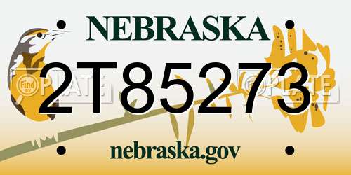 2T85273 Nebraska License Plate