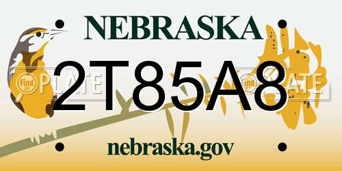 2T85A8 Nebraska License Plate