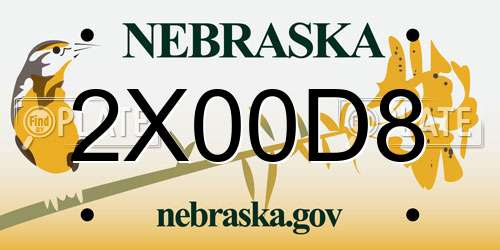 2X00D8 Nebraska License Plate