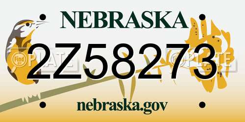 2Z58273 Nebraska License Plate