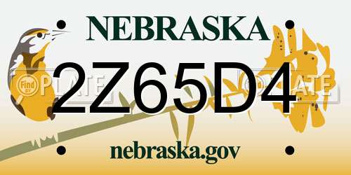 2Z65D4 Nebraska License Plate