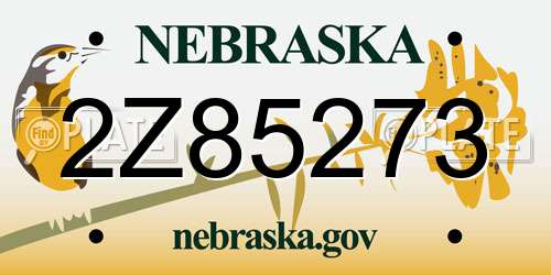 2Z85273 Nebraska License Plate