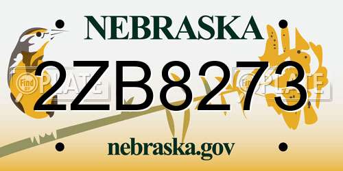 2ZB8273 Nebraska License Plate