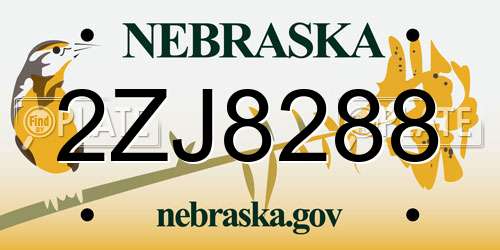 2ZJ8288 Nebraska License Plate