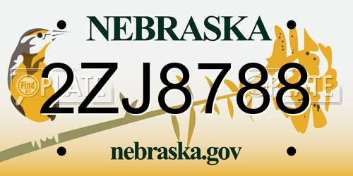 2ZJ8788 Nebraska License Plate
