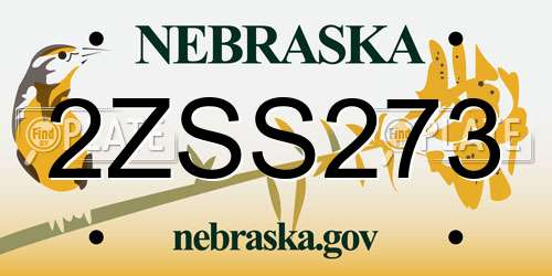 2ZSS273 Nebraska License Plate