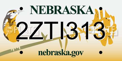 2ZTI313 Nebraska License Plate